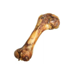 Growis Hueso Femur
