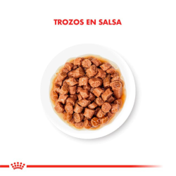 Royal Canin Pouch Kitten 85gr